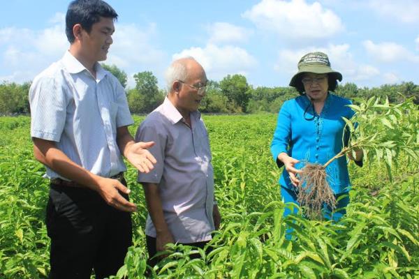 Chủ tịch UBND tỉnh: Kiểm tra việc đầu tư sản xuất của 3 doanh nghiệp ở huyện Dương Minh Châu